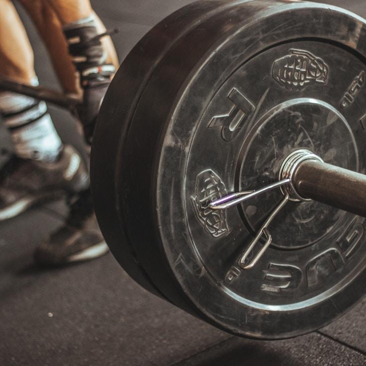Professional gym interior with weight equipment